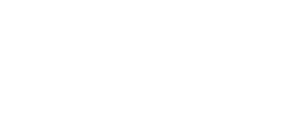 Virginia Association of Addiction Professionals (VAAP)
